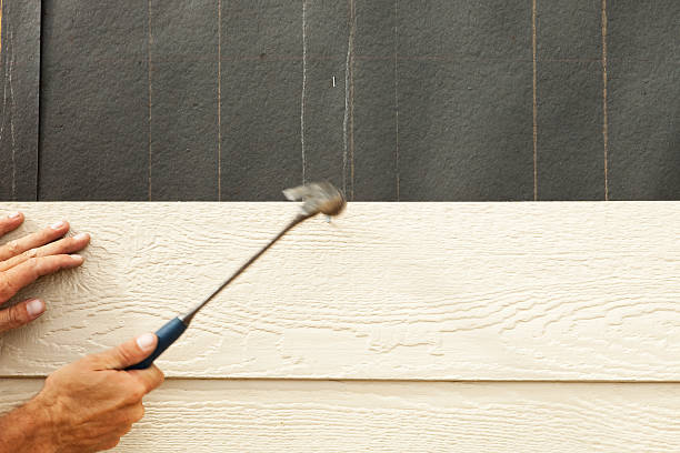 Best Aluminum Siding Installation  in Greenfield, MO